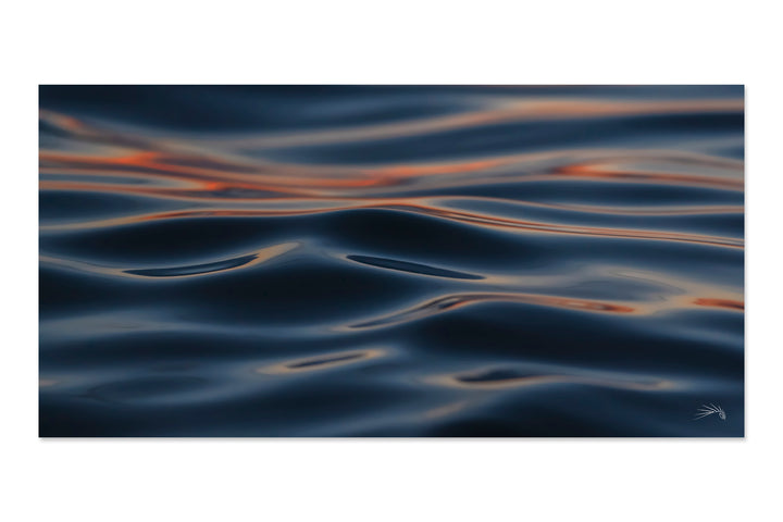 Ebb