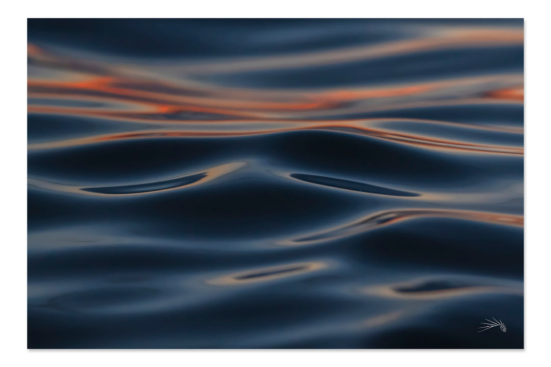 Ebb