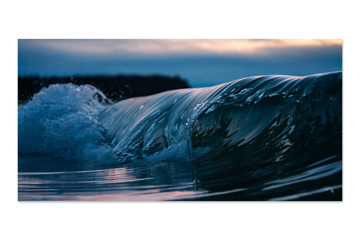 Last Reflections