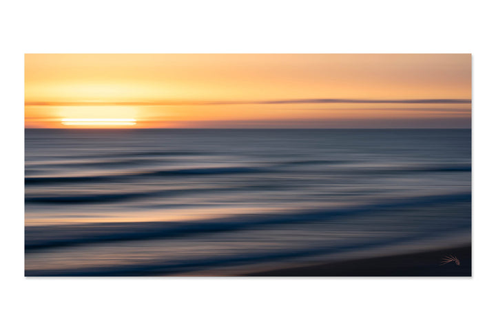 New Horizon