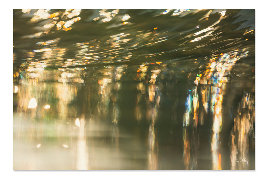 Prism